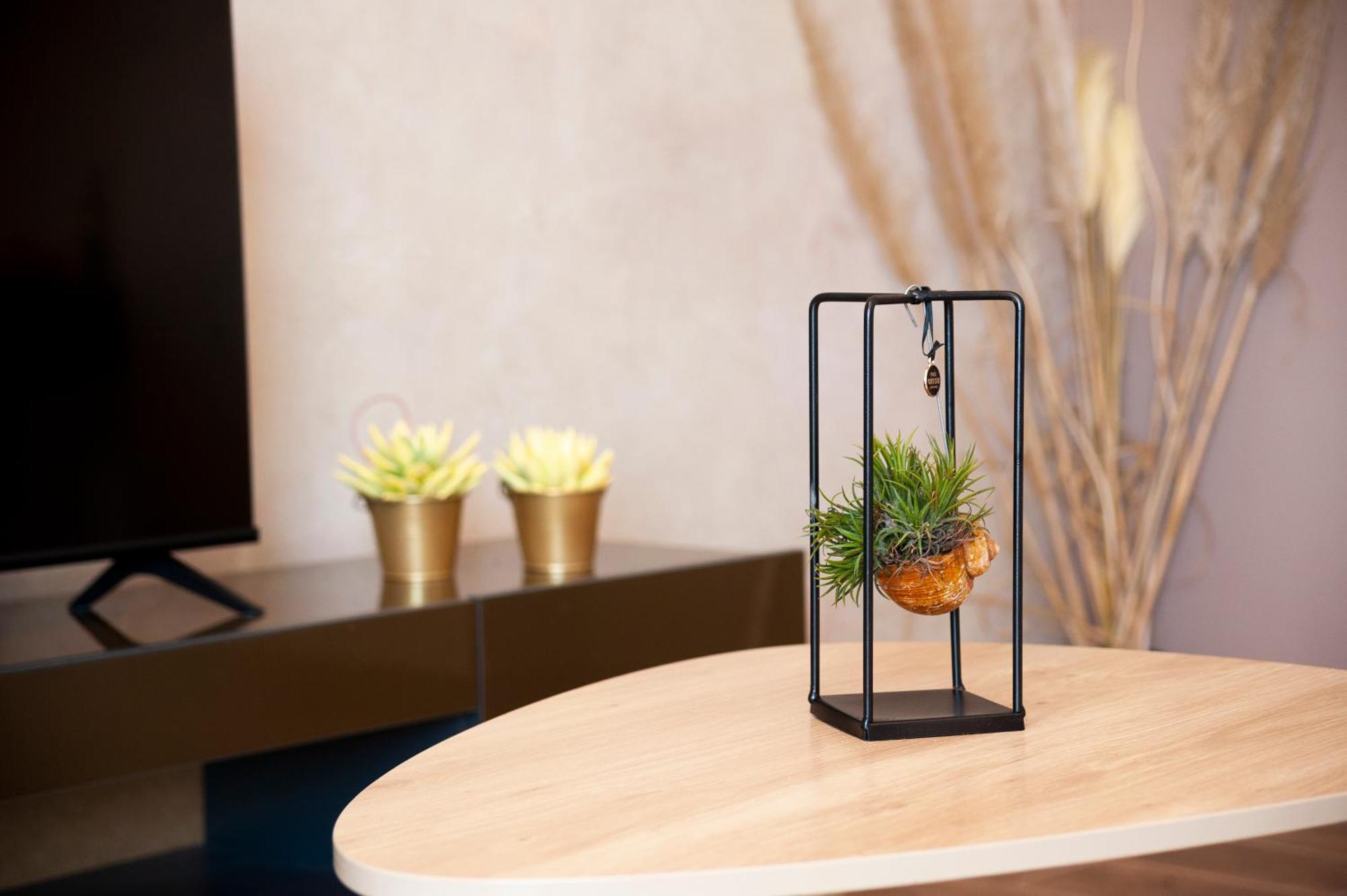 Apartman Lorena โรวีน ภายนอก รูปภาพ